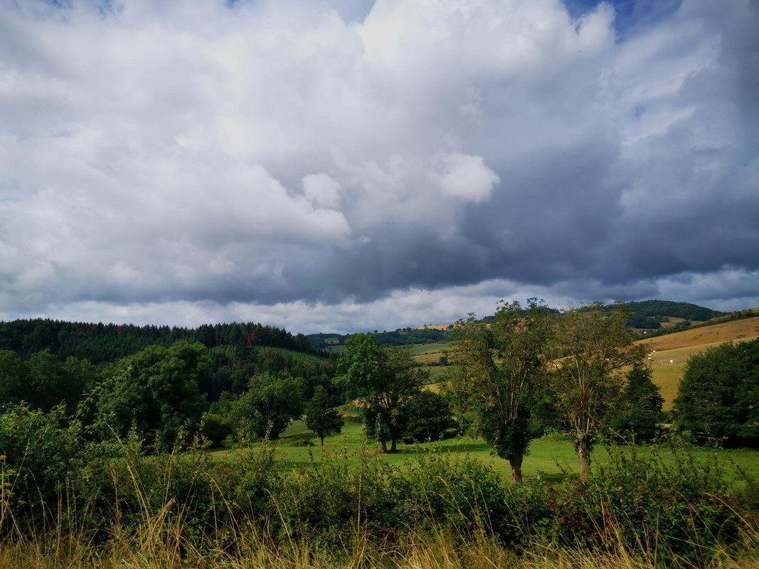 Bourgogne2019 (30).jpg.1