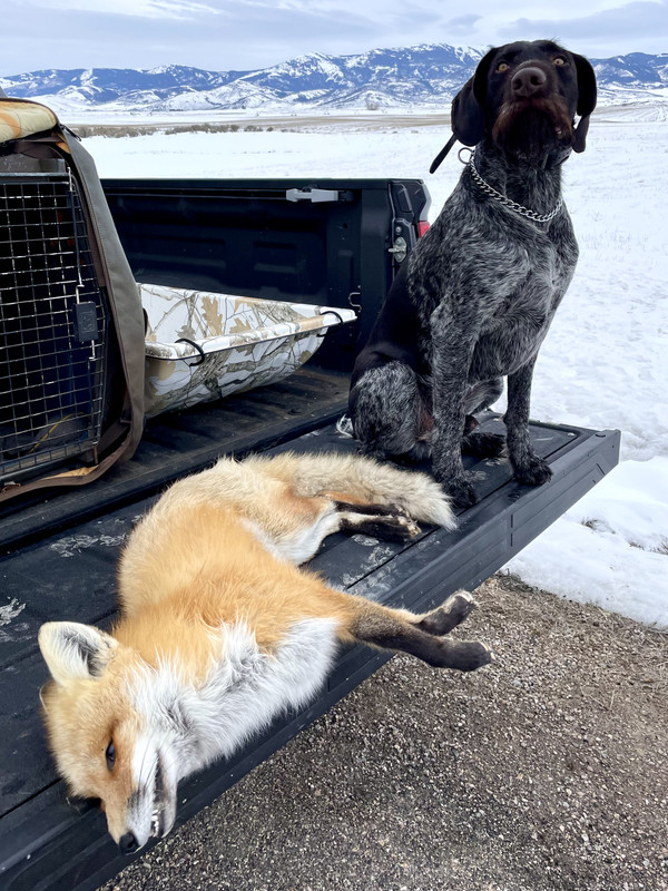 77B0D0E2-615F-4BCF-AA97-7331A12DAB93