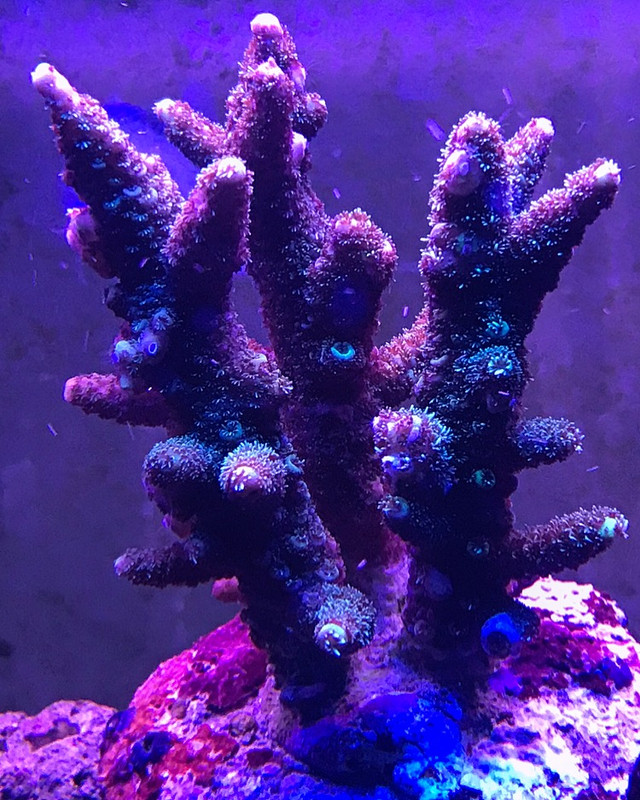 5B002CD0-7CF0-4D54-AF2E-25B296483483