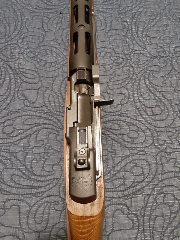 Mini14 (3)