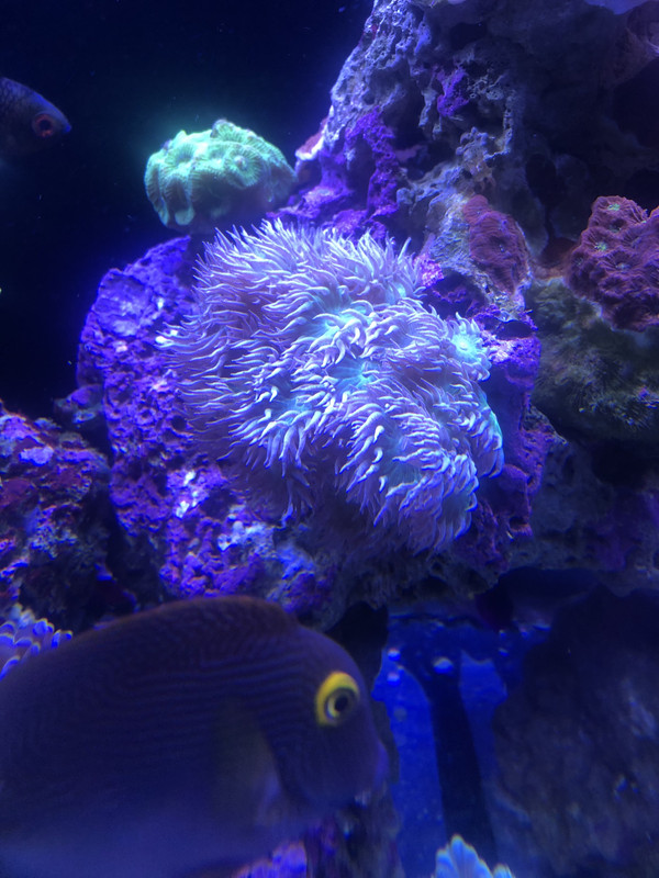 22B8F500-3CFE-4251-83F6-B43948AE9F01