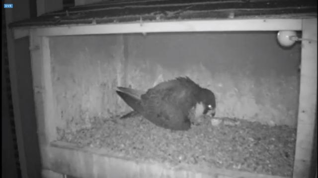 capture_10062018_151503