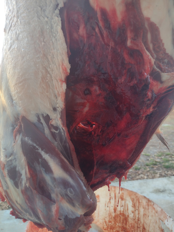 IMG_20250102_154012937