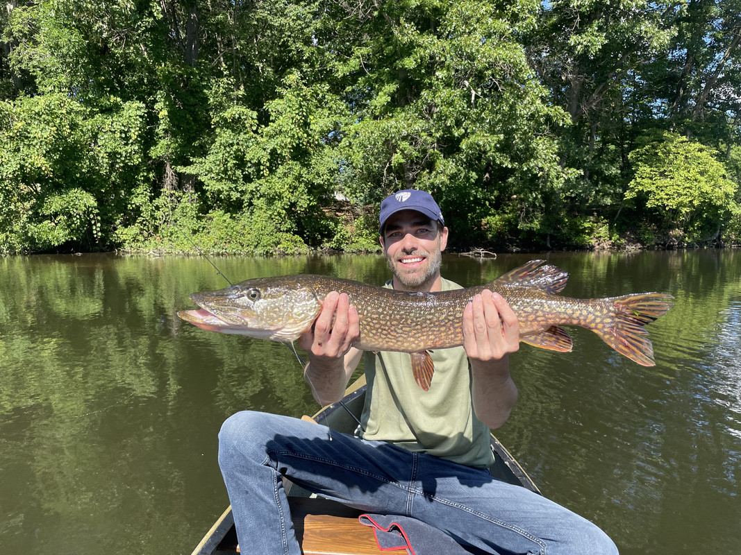 82784AB7-6B11-45DF-A614-B07B784512CD