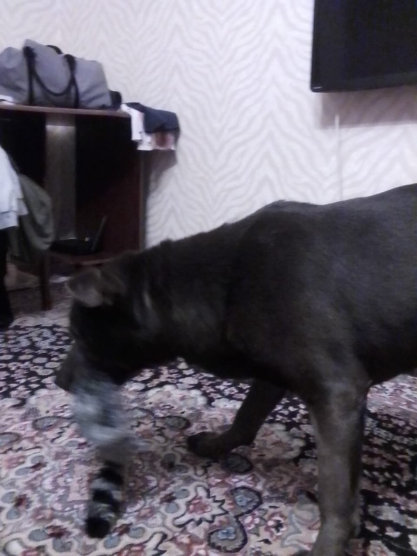 899C0E0D-9779-4DD9-92A0-6AA376607CEB