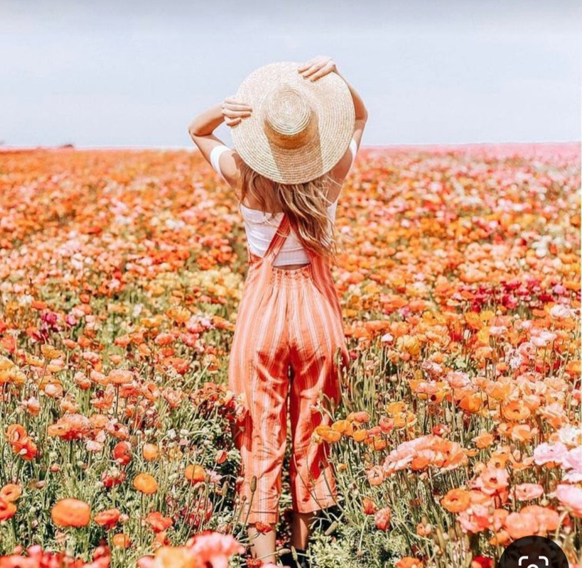 Screenshot_20240603_212437_Pinterest