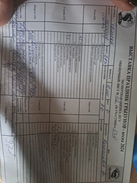 Изображение