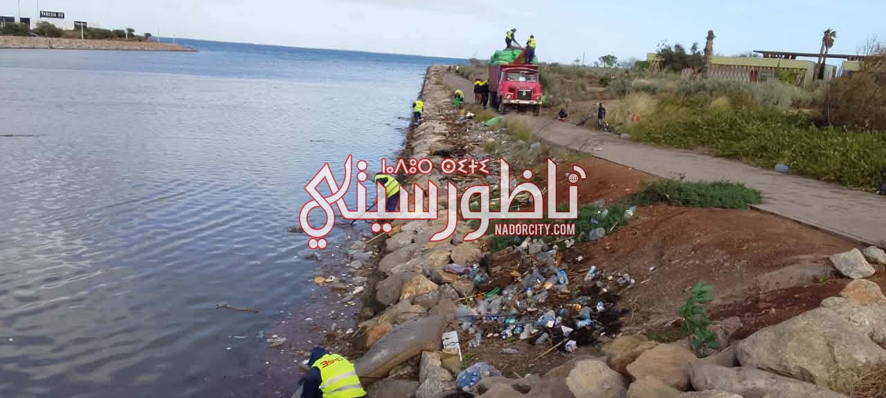 611292078-1543964246899532-2283602784840412962-n