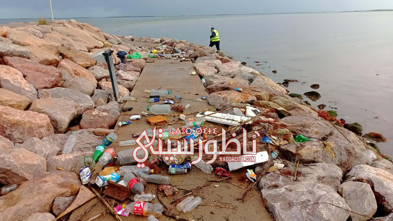 610538304-958960000016949-5620985684087553098-n