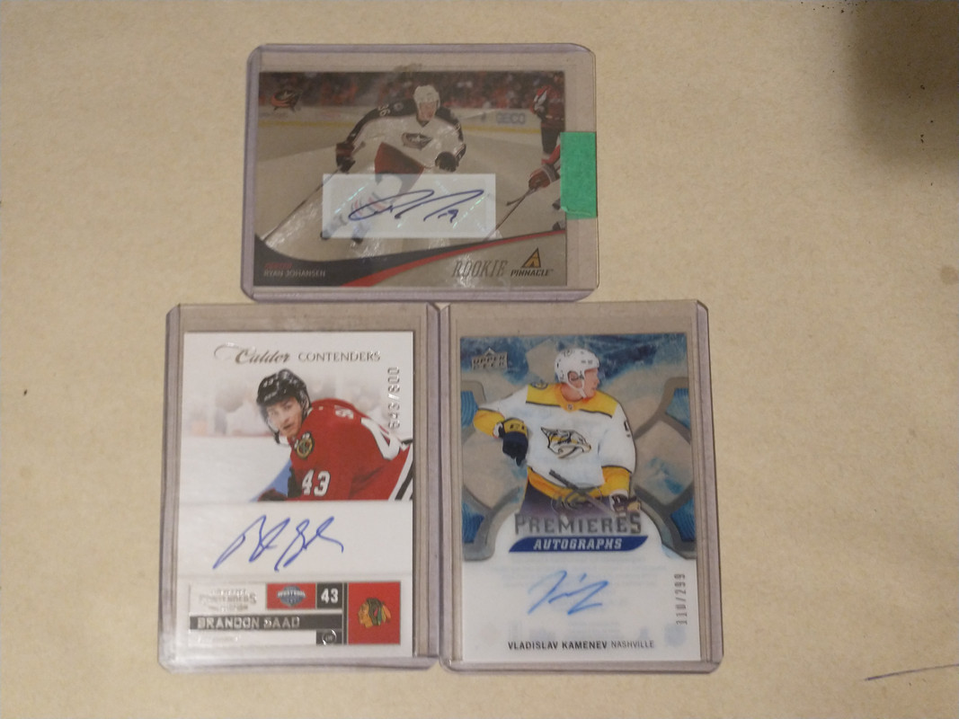 IMG_20241104_114219147