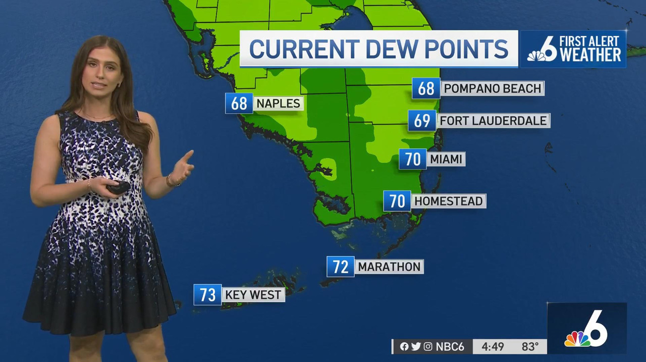 03.31 - 21.00.00 - Nbc 6 News At 4 00 P.M.-1.m4v_snapshot_33.23_[2022.04.01_14.00.35]