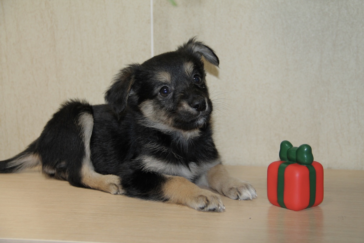 810911CF-16B6-4E5F-9805-5CEE6F1CF683