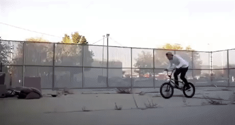 https://i.postimg.cc/59hhz64V/8.gif