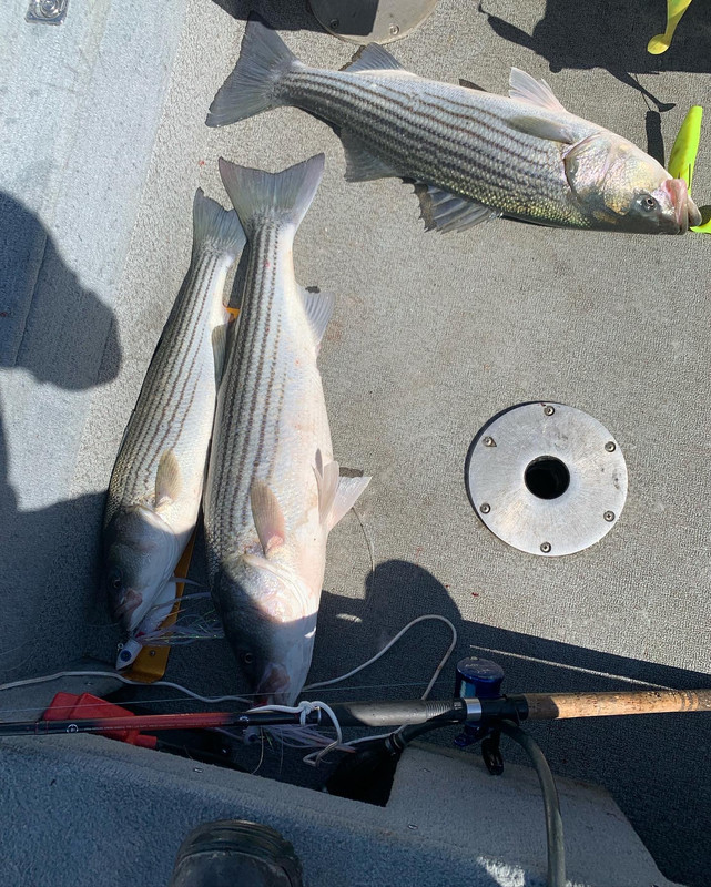 48611A07-4FC8-4CDF-B63D-96045A0A14E8