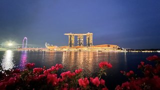 Indonesia, Singapur y Malasia 2022 - Blogs de Asia Sudeste - Día 12 y 13. Singapur (5)