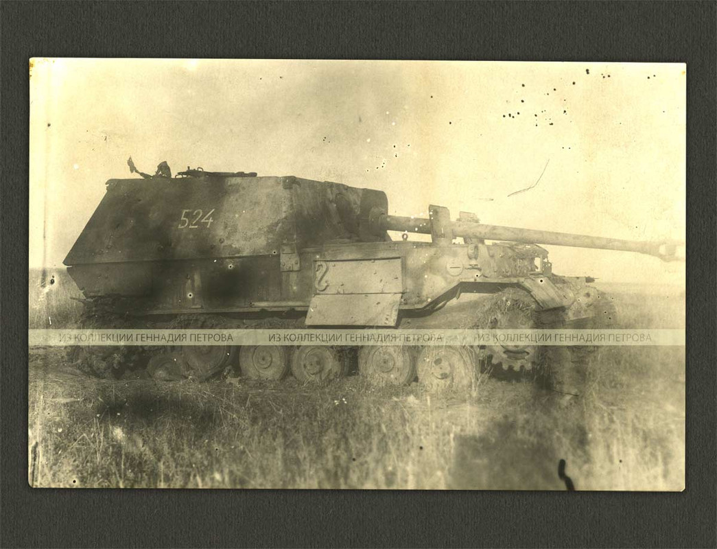 Panzerjäger Tiger (P) ‘Ferdinand’ №501 -schwere 