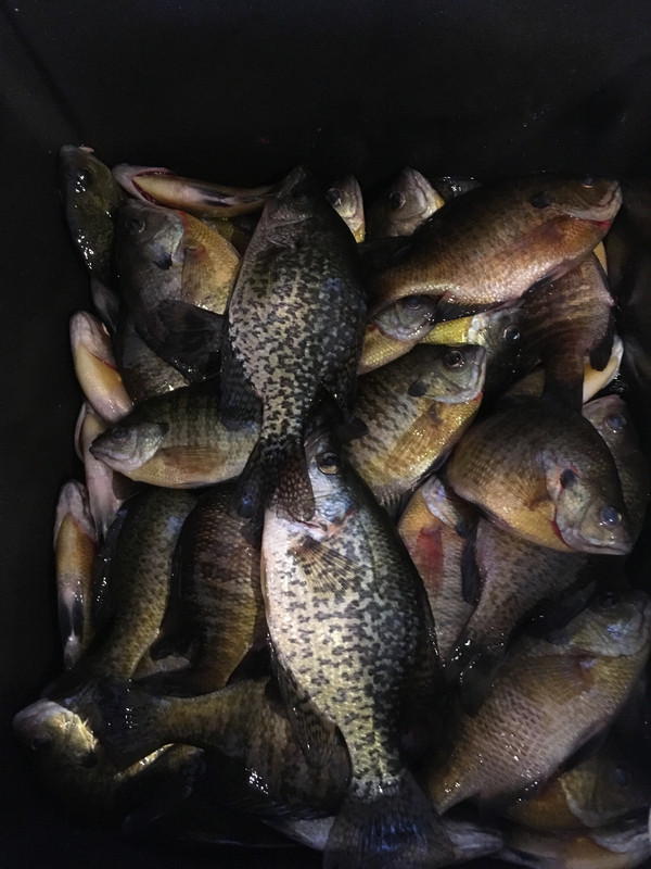 46179373-7214-43F3-9AA5-D25A070261D8