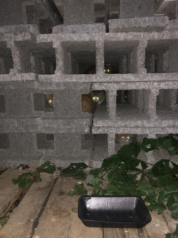 948791A3-50DE-4758-B5B2-C5F5ECADD3B1