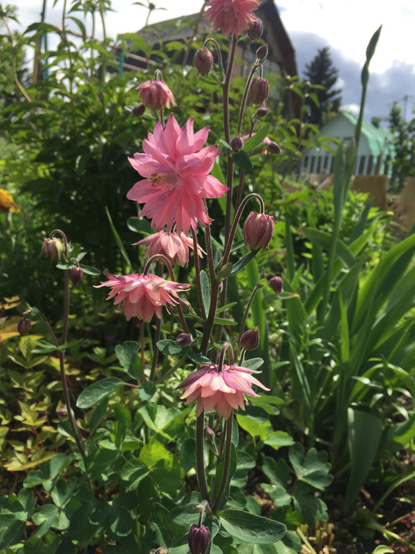 A51CD715-D097-4BAD-AE2F-90B9CA5A6207