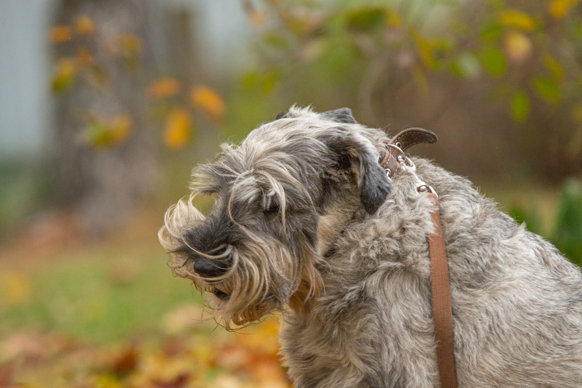 AWASMgOsGB1A09A9fIRClKUTx9FgUWhPpvIevz47rtos5qZqgBSRaBa4Npfaqd8ggohxRtm06bj_MQXRT8ilcP9S