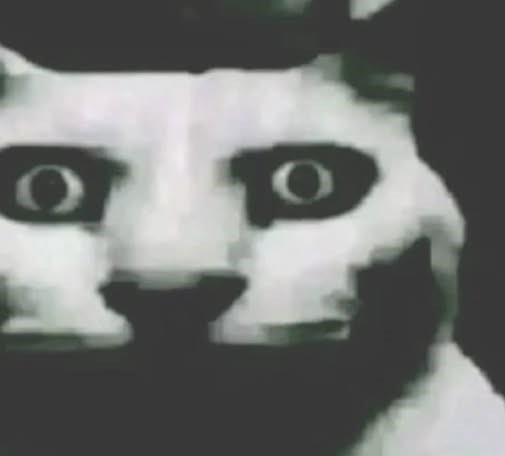 505856646-122148862904403055-5850039661605778730-n.jpg