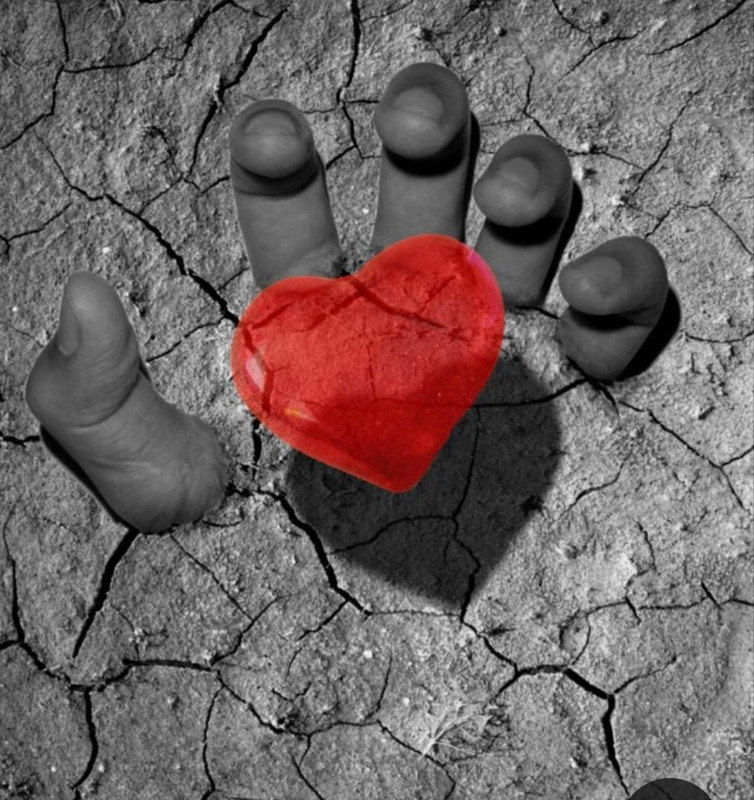 Screenshot_20240214_115221_Pinterest