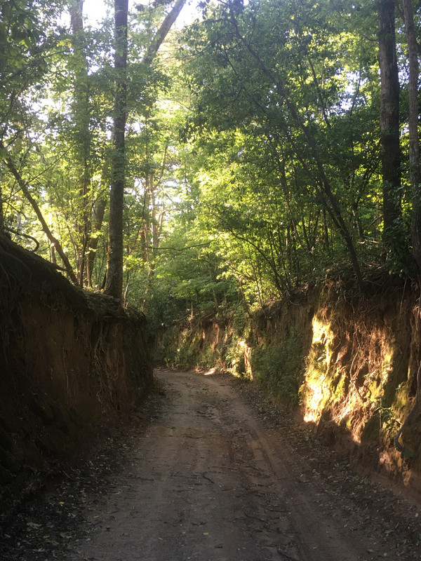 02A0A09A-5B94-4F66-A017-106A934550CD