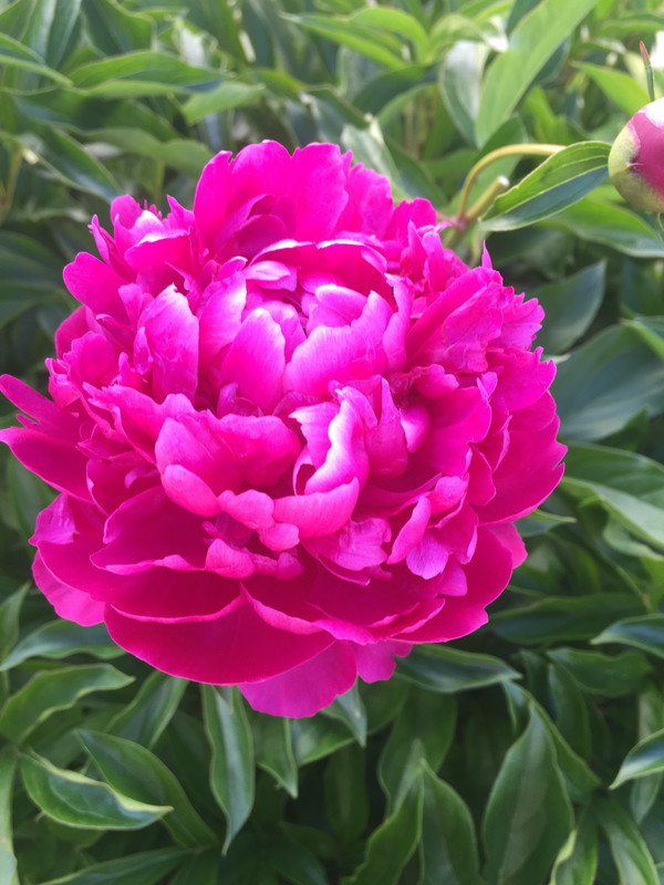 B0F94122-BA36-4F54-BC7F-B43890F9A539