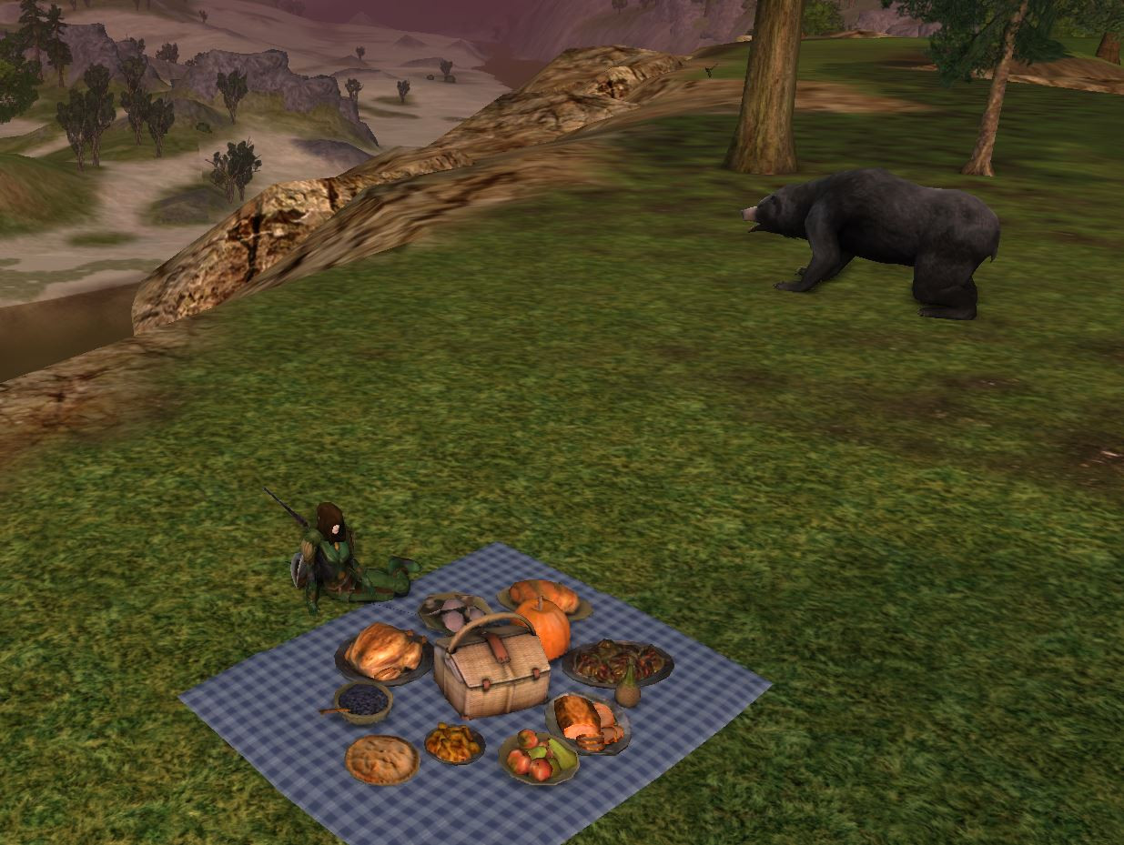 Ferywen-picnic.jpg