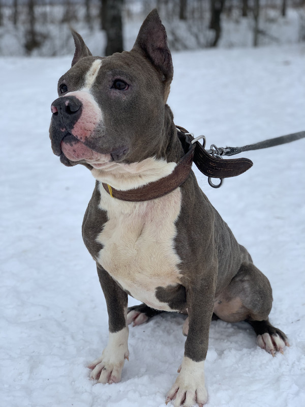 E7F16827-2C58-448F-A77A-80FCEDD9CEA5