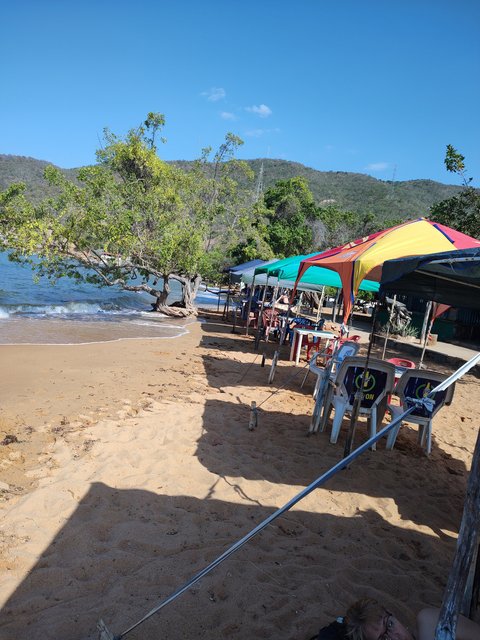 IMG_20230404_154514665