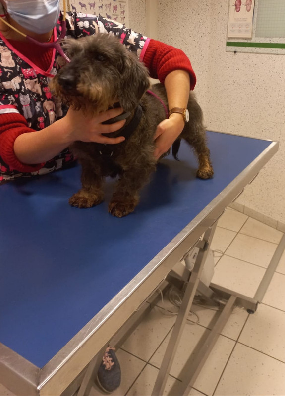 [Image: 20211217-194438.jpg]