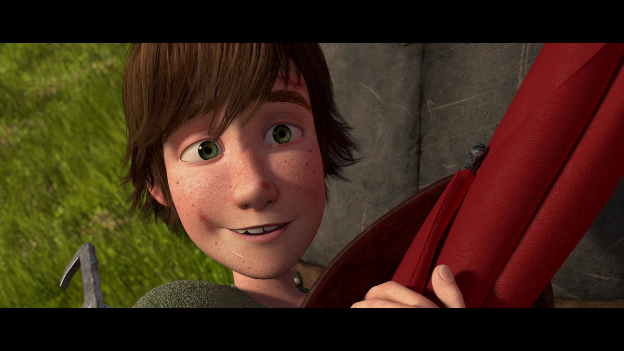 How to Train Your Dragon (2010) (1080p BDRip x265 10bit DTS-HD MA 5.1 - TheSickle)[TAoE].mkv