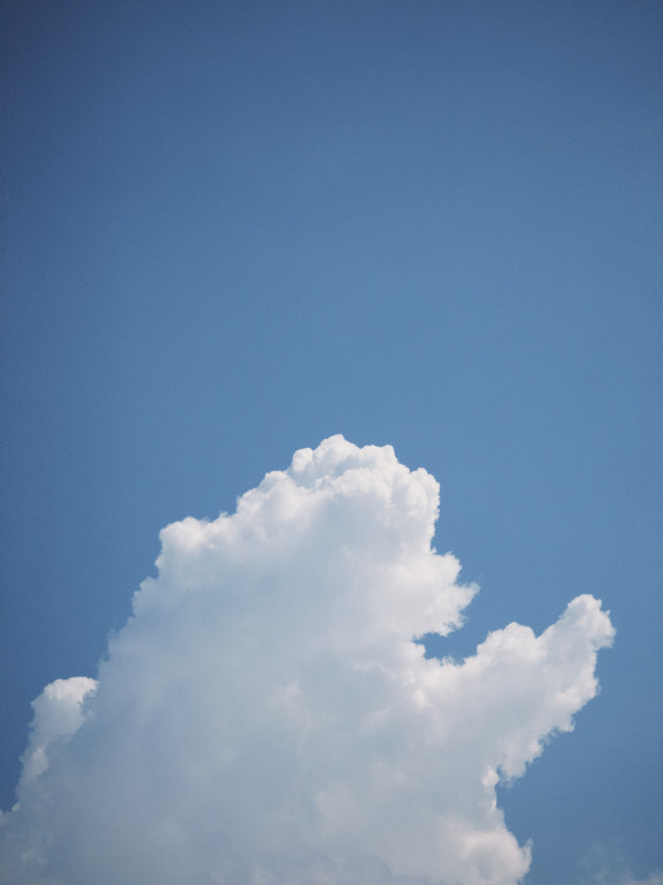 A cloud that looks like a little dinosaur
