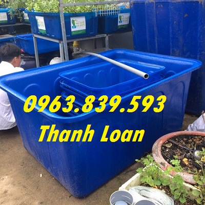 Thùng nhựa chữ nhật 500lit nuôi cá Koi cảnh, thùng nhựa 1 lớp. 0963 839 593 Ms.Loan Thung-nhua-dung-tich-lon-nuoi-ca-1