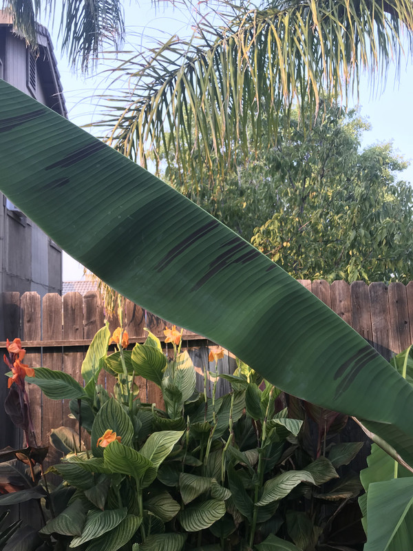 8C7A1F62-166B-4A1C-AE25-6E5C7E8B39F1