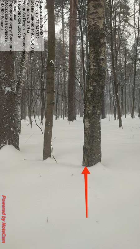 1771505490748 035133