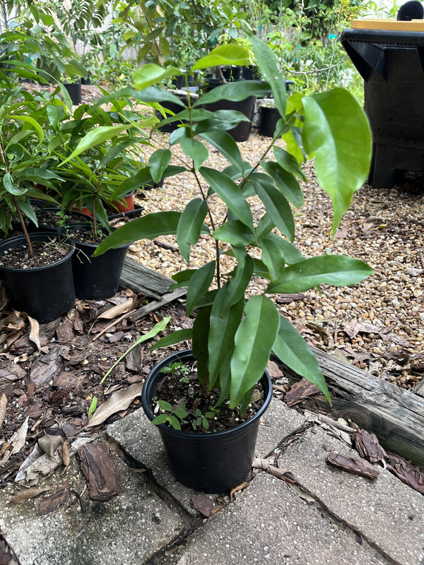 B612D548-E1C2-4622-B29E-039480EA1716