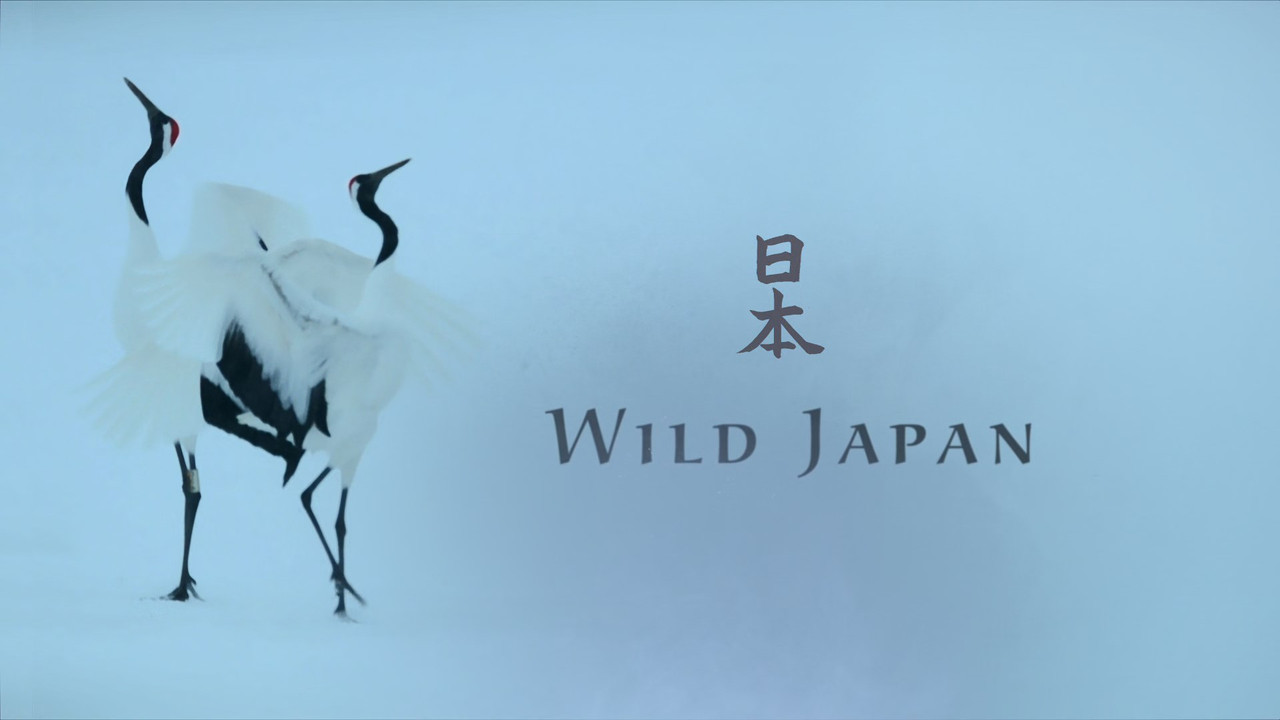 Japan Earth's Enchanted Islands (2015) - S01E01 - Honshu (1080p 