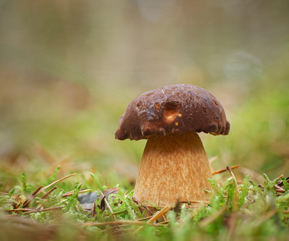 2024-11-06 09-41-50 (B,R8,S4)-Editx-3