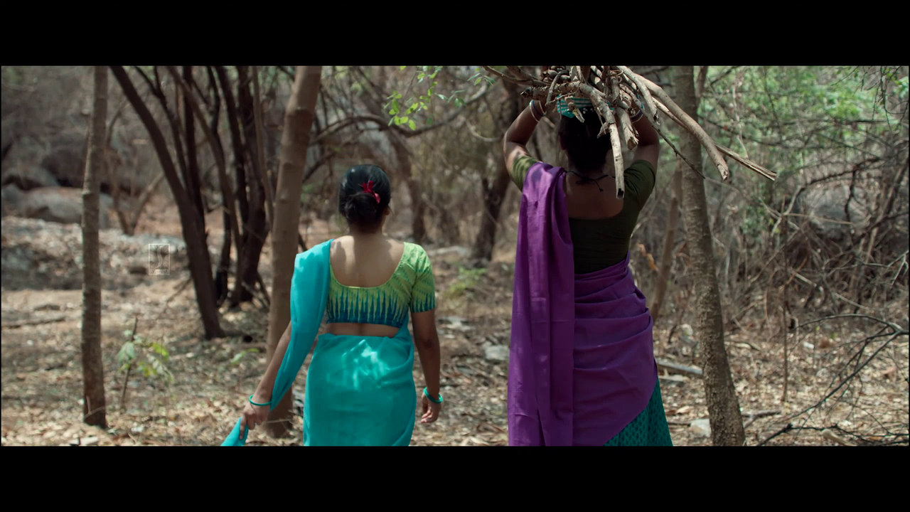 vlcsnap 2025 11 02 08h31m41s471