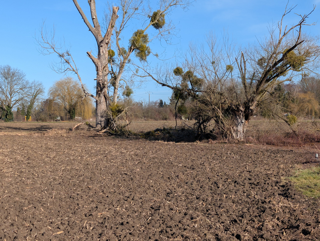 PXL 20260207 101010793