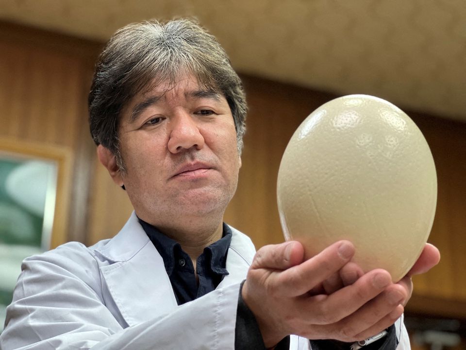 Crean en Japón cubreboca que brilla al detectar COVID usando células de avestruz
