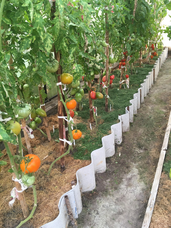 A15942FF-F316-4C4A-B537-9ADDAA19943D