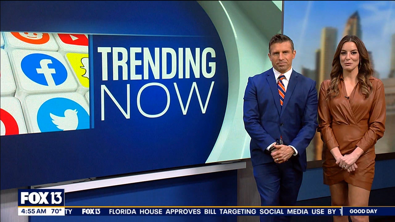 FOX13s Good Day Tampa Bay at 400am_20240125_09000930.ts_snapshot_00.57.05.534