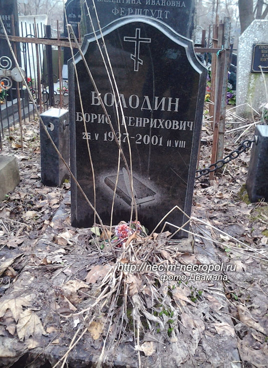 volodin-bg1