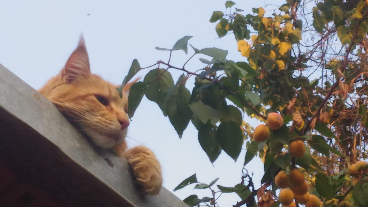 Подготовка (33)