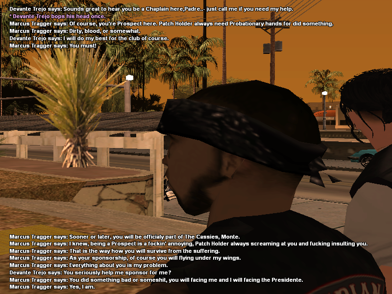 SSRP4.png