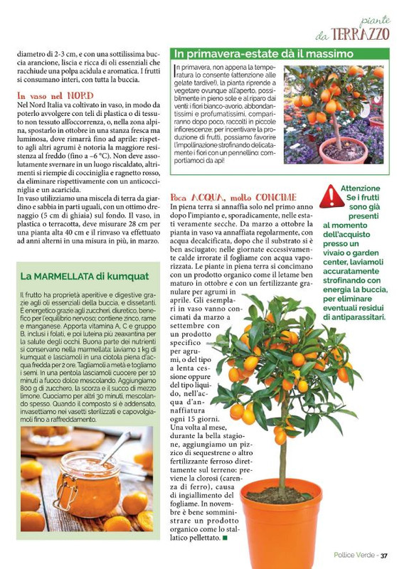 Pol Ver Nov-Dic 2021 (10)