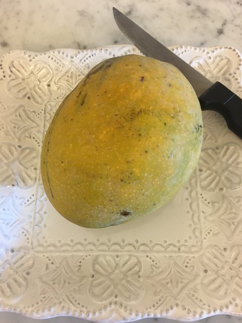 83D1A86D-148C-4214-A608-FA7249D10E36